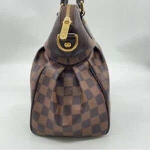 Auth Louis Vuitton Damier Ebene Trevi
PM 2Way Bag